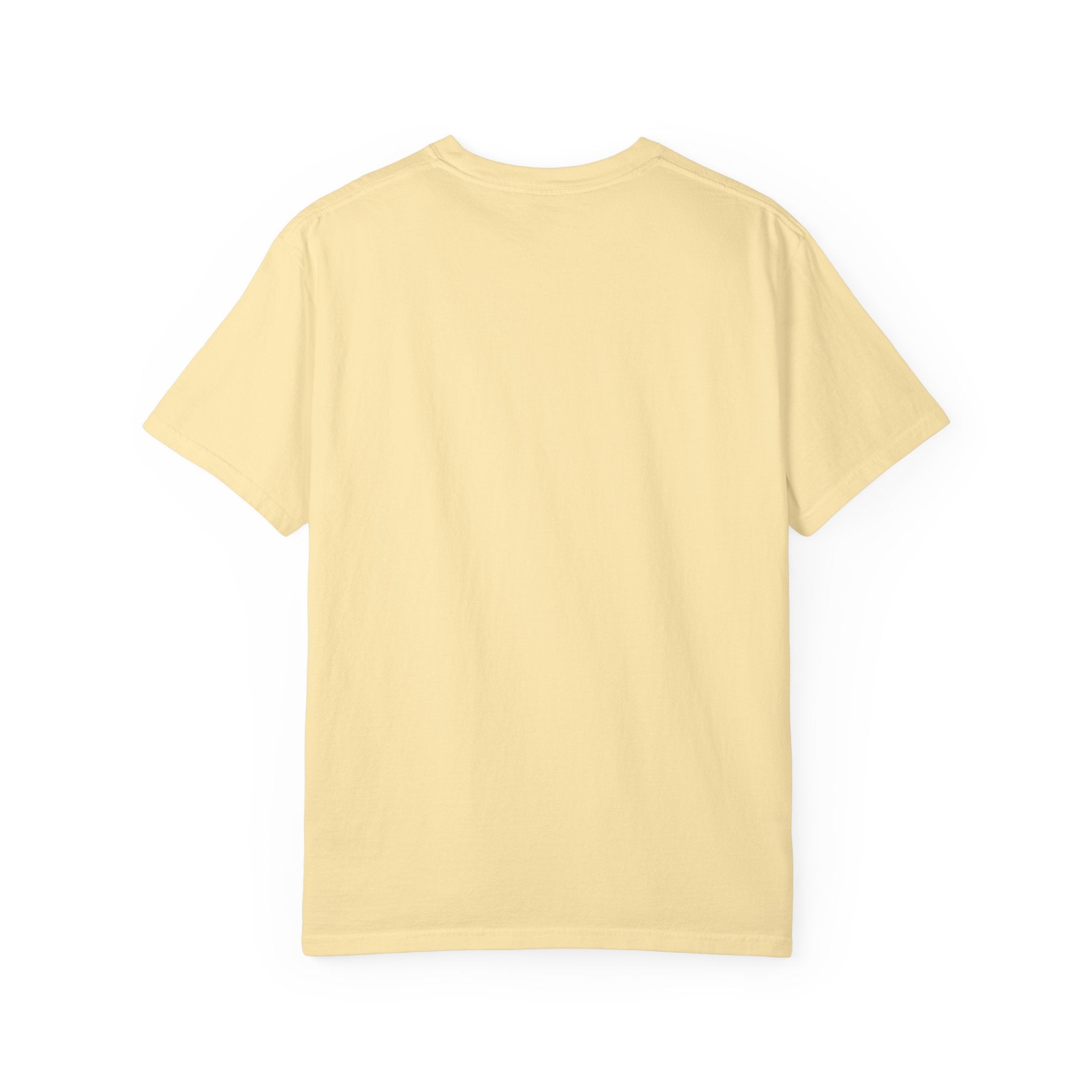 North America Soccer 2026 Vintage Garment Dyed Fan Tee