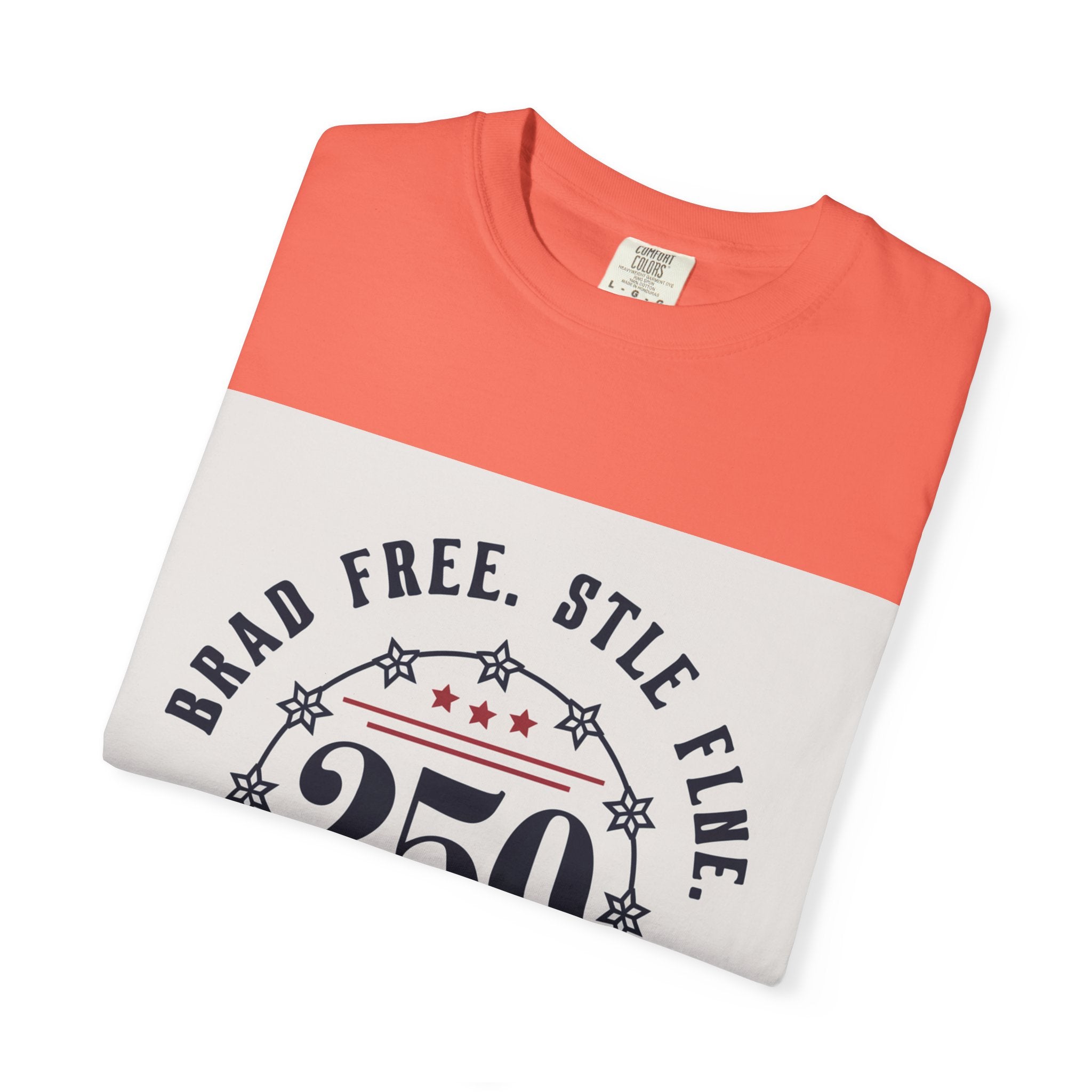 Patriotic 250th Anniversary Vintage Tee | Retro 1776–2026 USA